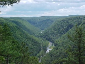 Pine Creek Gorge - Photo by S. Webster