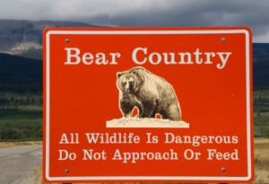 warningsign Bear Country - All wildlife is dangerous. Do not approach or feed.