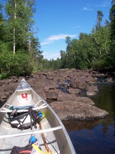 Picture taken from siting inside a canoe, looking up an unnavigable stream.