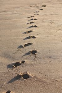 Evidence of beachfront hiking!