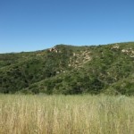 Laguna Ridge Trail, California