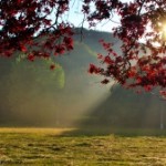 Autumn is another beautiful time for camping!