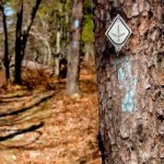 Pinhoti Trail Marker at Talladega National Forest